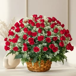 101/201/501/1001 Dutch Red Roses Arrangement 1