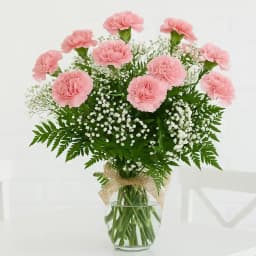 Stunning Pink Carnations in a Vase 1
