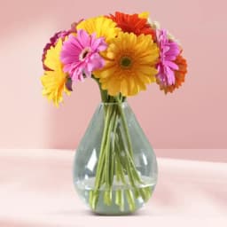 Awesome Mixed Gerberas in Glass Vase 1