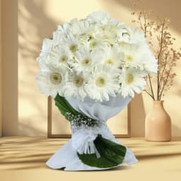 Graceful White Gerberas Bunch 1