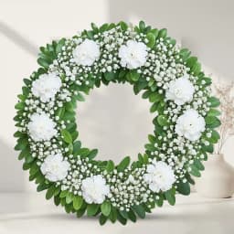 Pretty Wreath of Carnations 1