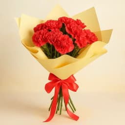 Beautiful Red Carnations Bouquet 1