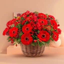 Attractive Red Gerberas Arrangement 1