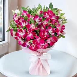 Lovely Orchids Bunch 1