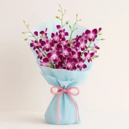 Luxury Bunch of Purple Orchids 1