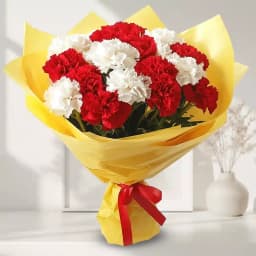 Suave Carnations Bouquet 1