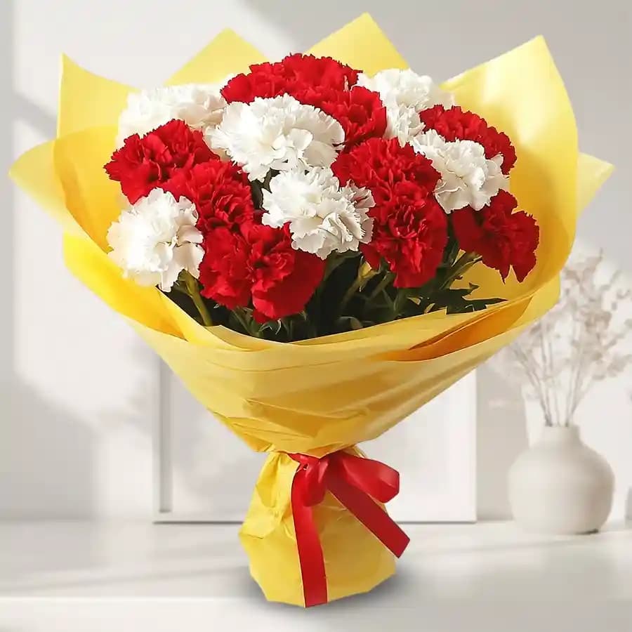 Suave Carnations Bouquet