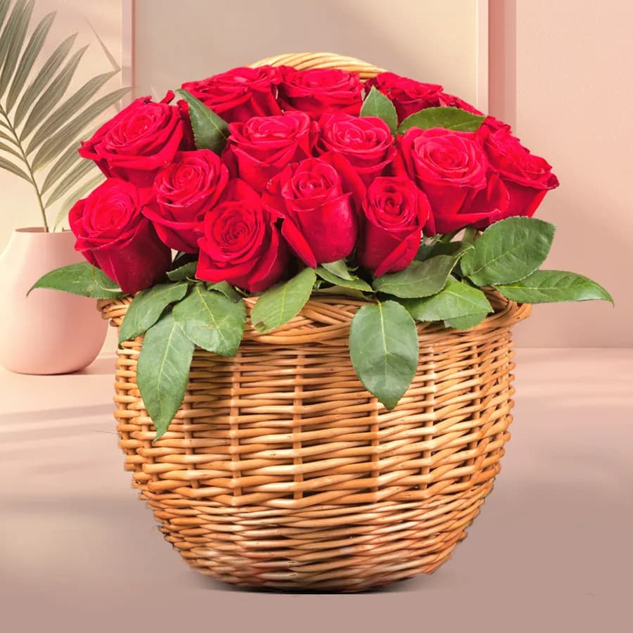 Crimson Affection in Bloom