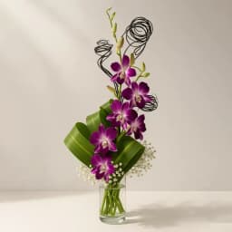 Orchid Dreamscape in Crystal 1