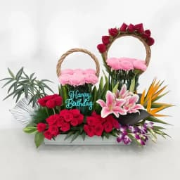 Radiant Blossom Express Collection 1