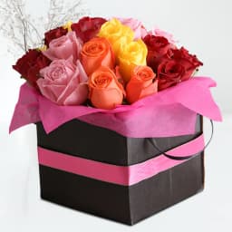 Amazing Rose Day Special Gift Box of Mixed Dutch Roses 1