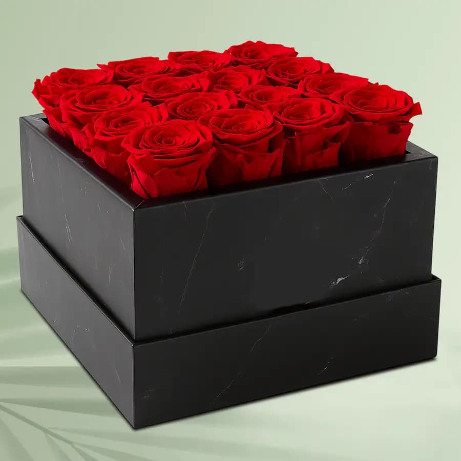 Remarkable Bed of Red Roses in a Box