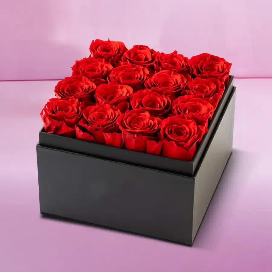 Passionate Pink Roses in Black Cardboard Gift Box