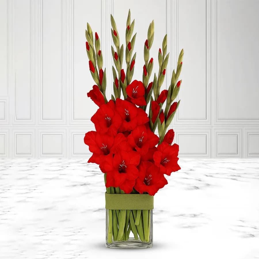 Mesmerizing Red Gladiolus in a Glass Vase