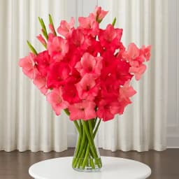 Delicate Pinkish Delight Gladiolus in a Glass Vase 1