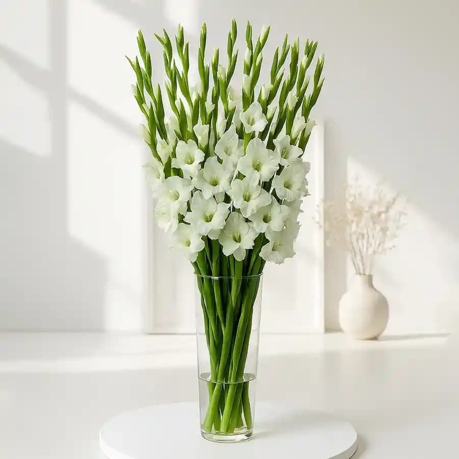 Mesmerizing White Gladiolus in a Glass Vase