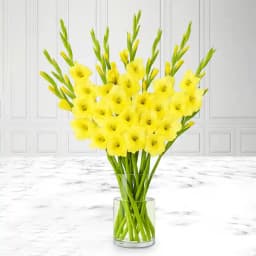 Amazing Yellow Gladiolus in a Glass Vase 1