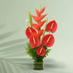 Amusing Red Anthurium with BOP Arrangement in a Glass Vase 1