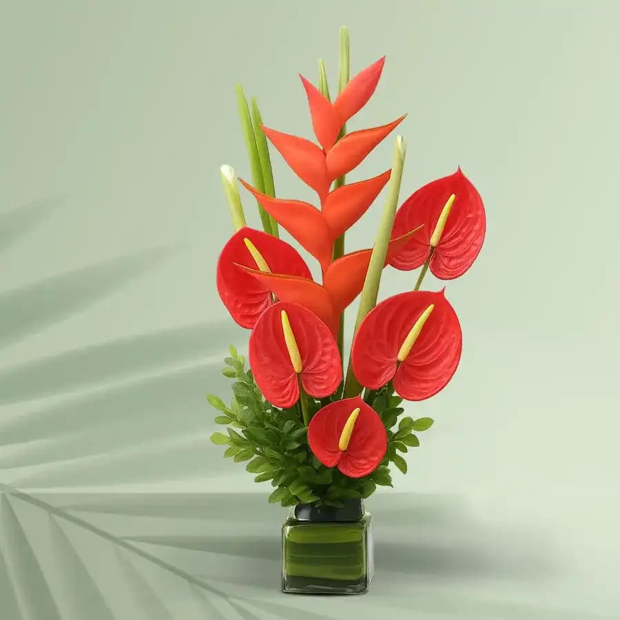 Amusing Red Anthurium with BOP Arrangement in a Glass Vase