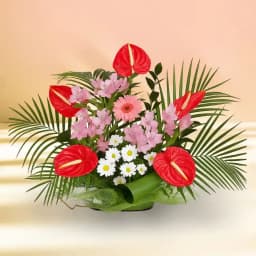 Brilliant Arrangement of Anthurium with Assorted Flowers 1