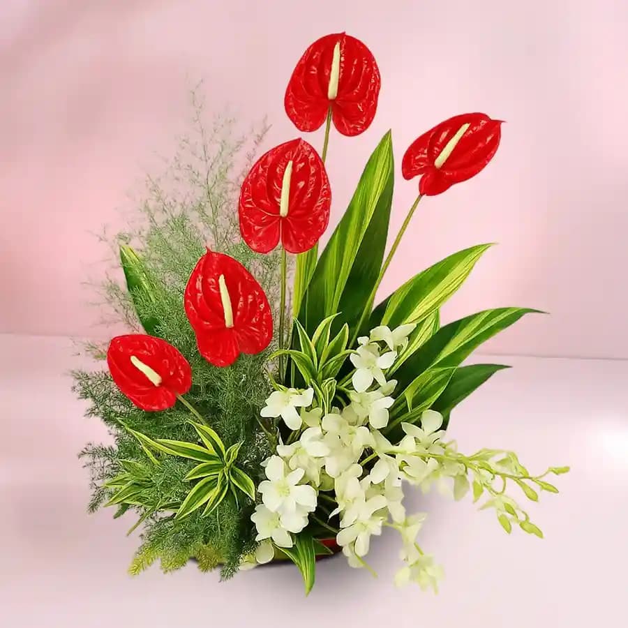 Amusing Arrangement of Anthurium N Orchids