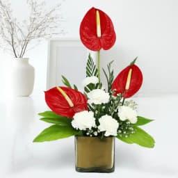 Remarkable Arrangement of Anthuriums n Carnations in Glass Vase 1