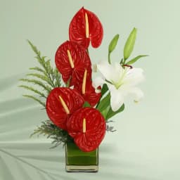 Exotic Anthurium n Lilies in a Glass Vase 1