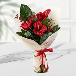 Beautiful Bouquet of Red Anthodium with Tissue Wrap 1