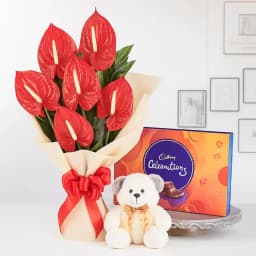 Wonderful Anthodium Bouquet Chocolates n Teddy Gift Combo 1