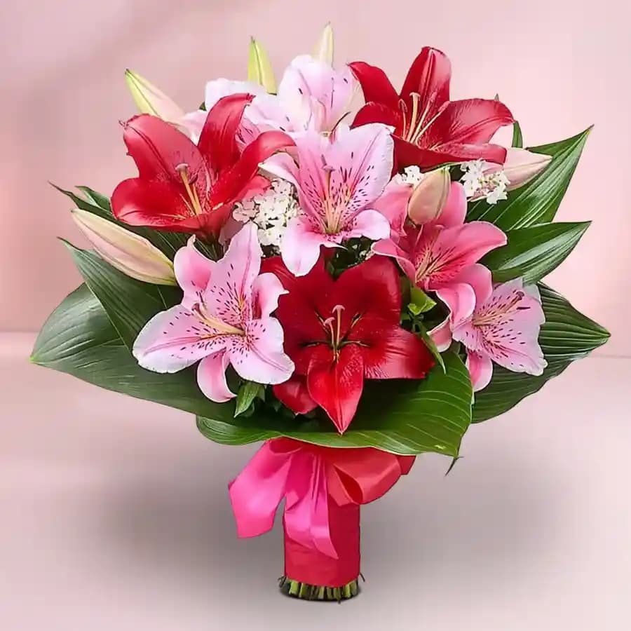 Elegant Bouquet of Red Anthodium n Pink Lilies