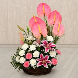 Pristine Pink N White Flowers Arrangement 1