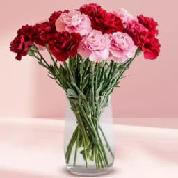 Lovely Pink N Red Carnations in Vase 1