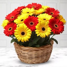 Pretty Arrangement of Red N Yellow Gerberas 1