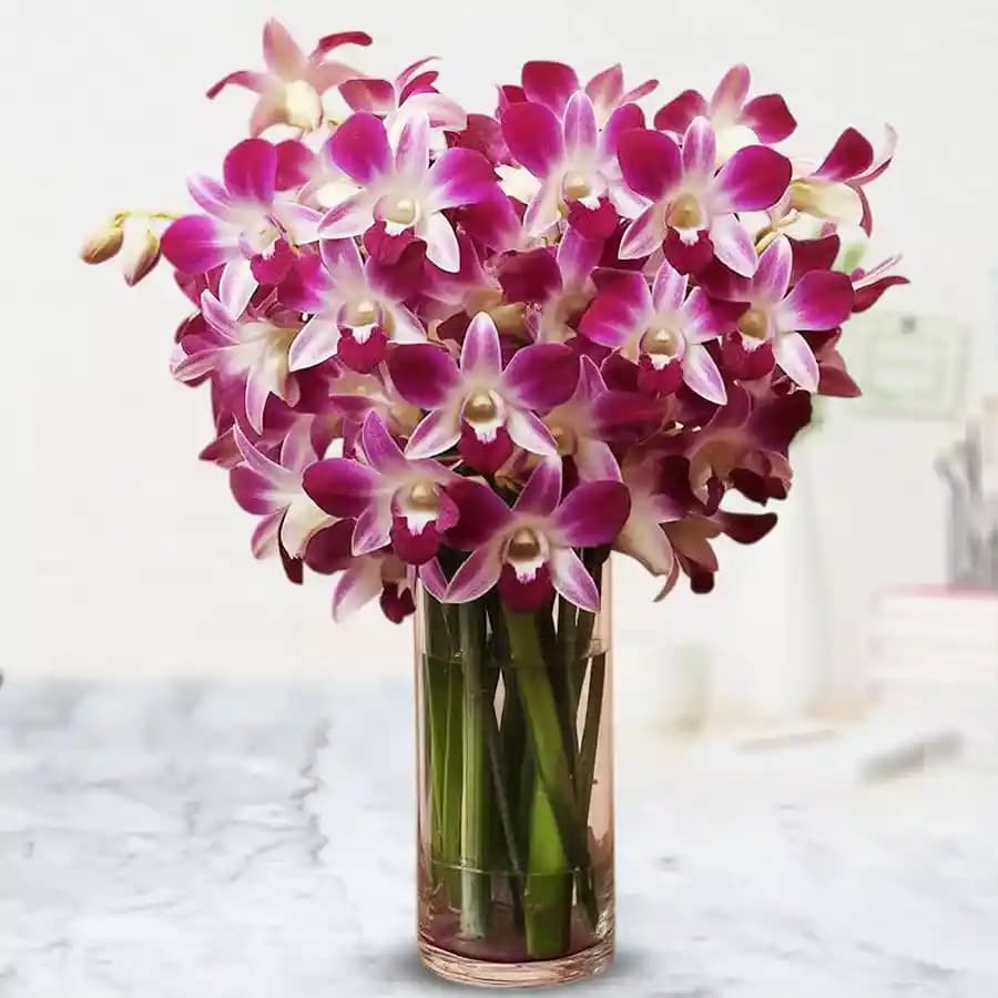 Amazing Orchids in Glass Vase