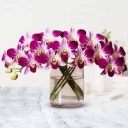 Glamorous Orchids in Glass Vase 1