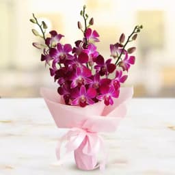 Majestic Bouquet of Orchids 1