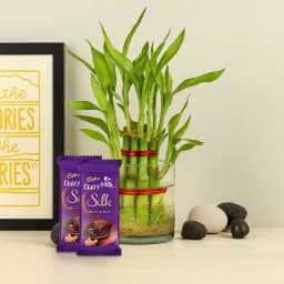 Charming Bamboo Bliss & Chocolate Treat 1