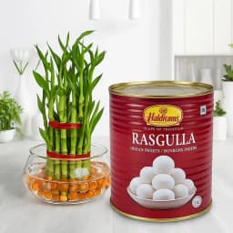 Bamboo Bliss with Sweet Treats 1