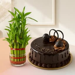 Bamboo Bliss and Chocolate Indulgence Set 1