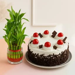 Zen Bamboo Delight with Exquisite Cake 1