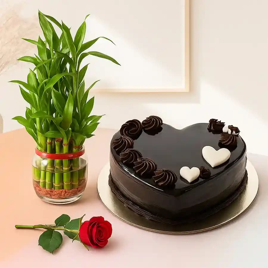 Joyful Harmony Gift Set