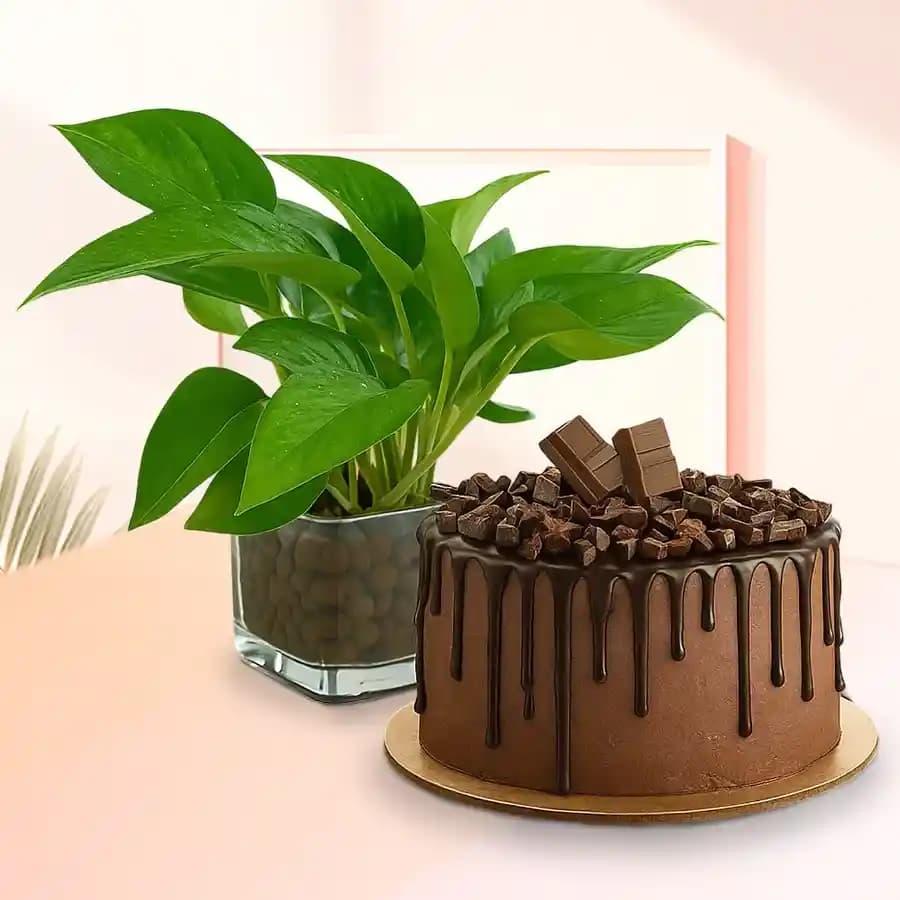 Decadent Chocolate Celebration with Greenery