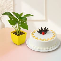 Nature's Treat: Cake and Green Delight 1