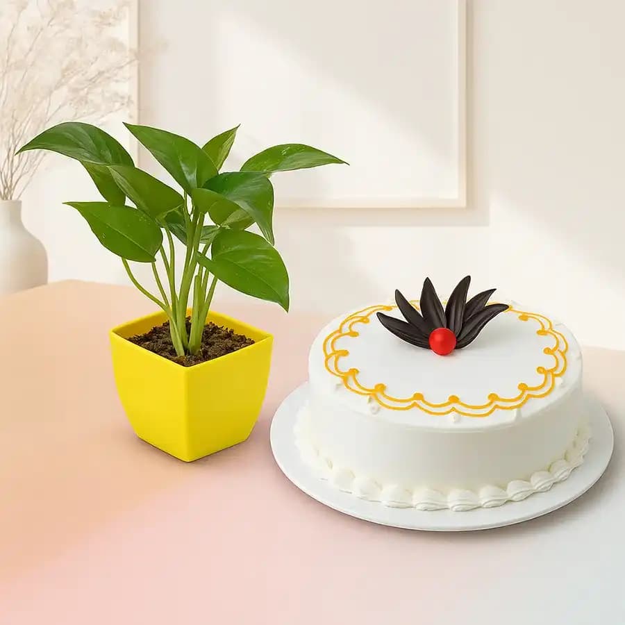 Nature's Treat: Cake and Green Delight