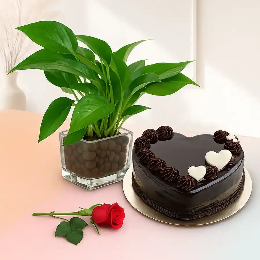 Charming Floral & Sweet Delight Gift Set