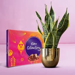 Chocolate Bliss with Nature's Touch 1