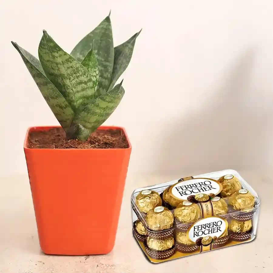 Chic Greenery and Gourmet Chocolate Delight