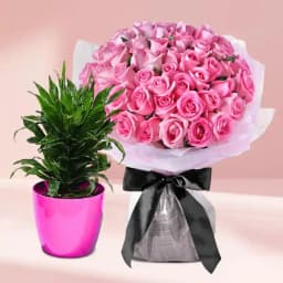 Graceful Dracaena and Blushing Rose Bouquet 1