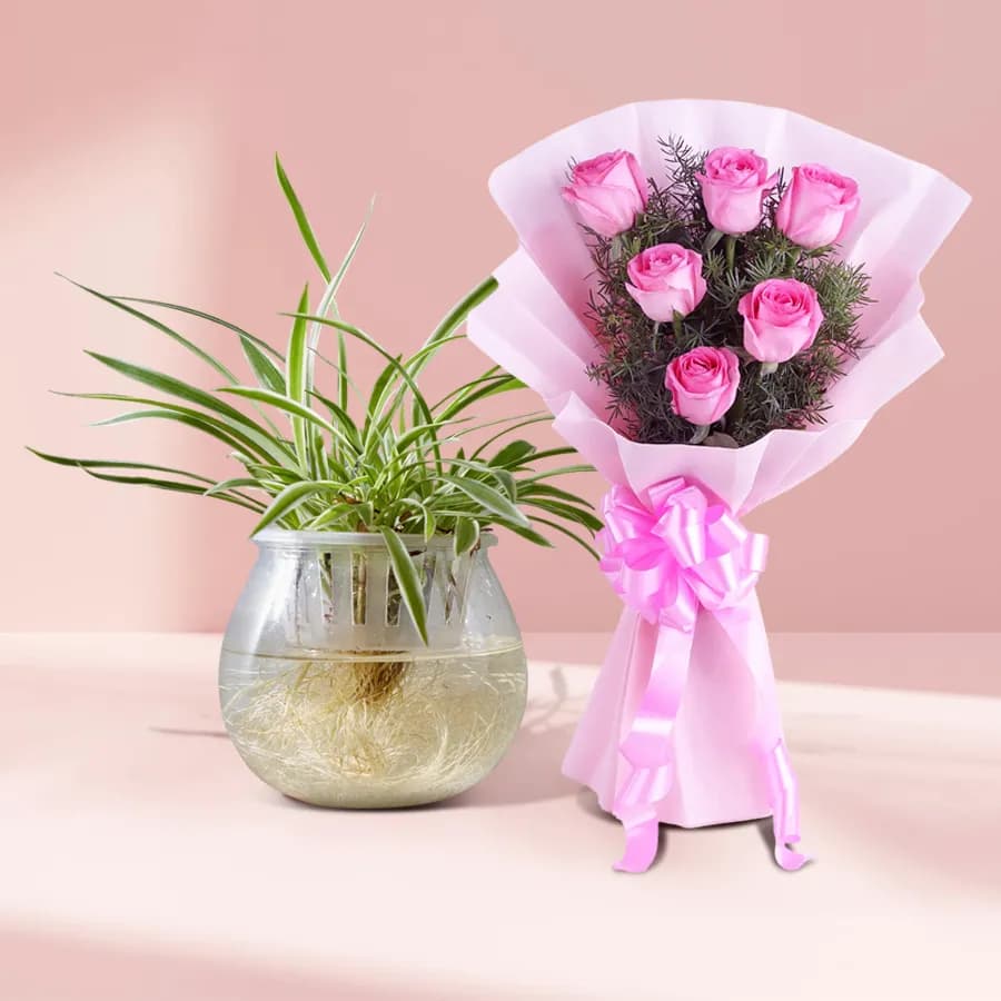 Radiant Pink Blossoms with Lively Spider Plant