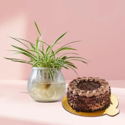 Lush Greenery & Decadent Delight 1